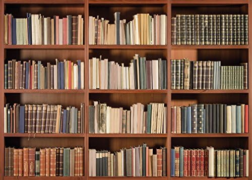 LYWYGG 10X8FT Ofis Zemin Kitaplık Zemin Vintage Kitaplık Sihirli Kitaplar Grunge Antik Kütüphane Vinil Fotoğraf Arka Plan